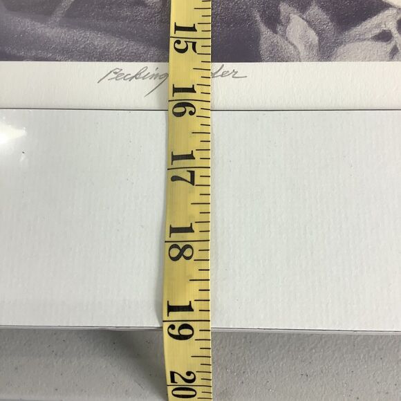 Wayman C Brown Pencil Sketch White Heron ‘Pecking Order’ 19x22 Signed & Matted - Picture 6 of 13